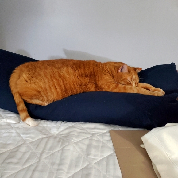 Meet your Posher, Wilhelmina - Picture 2 of 2